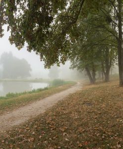 Jaka pogoda czeka nas w weekend?