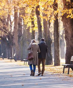 Prognoza pogody na dziś - 2 października. Chłodno w całym kraju. Wiatr może sprawiać problem
