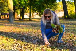 Pogoda na sobotę 6 października. Będzie ciepło i słonecznie.