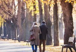 Prognoza pogody na dziś - 2 października. Chłodno w całym kraju. Wiatr może sprawiać problem