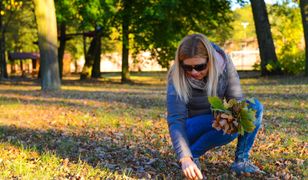 Pogoda na sobotę 6 października. Będzie ciepło i słonecznie.