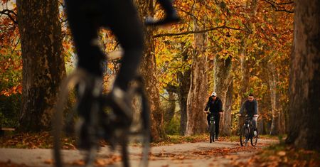 Pogoda na wybory: zza chmur czasem wyjdzie słońce