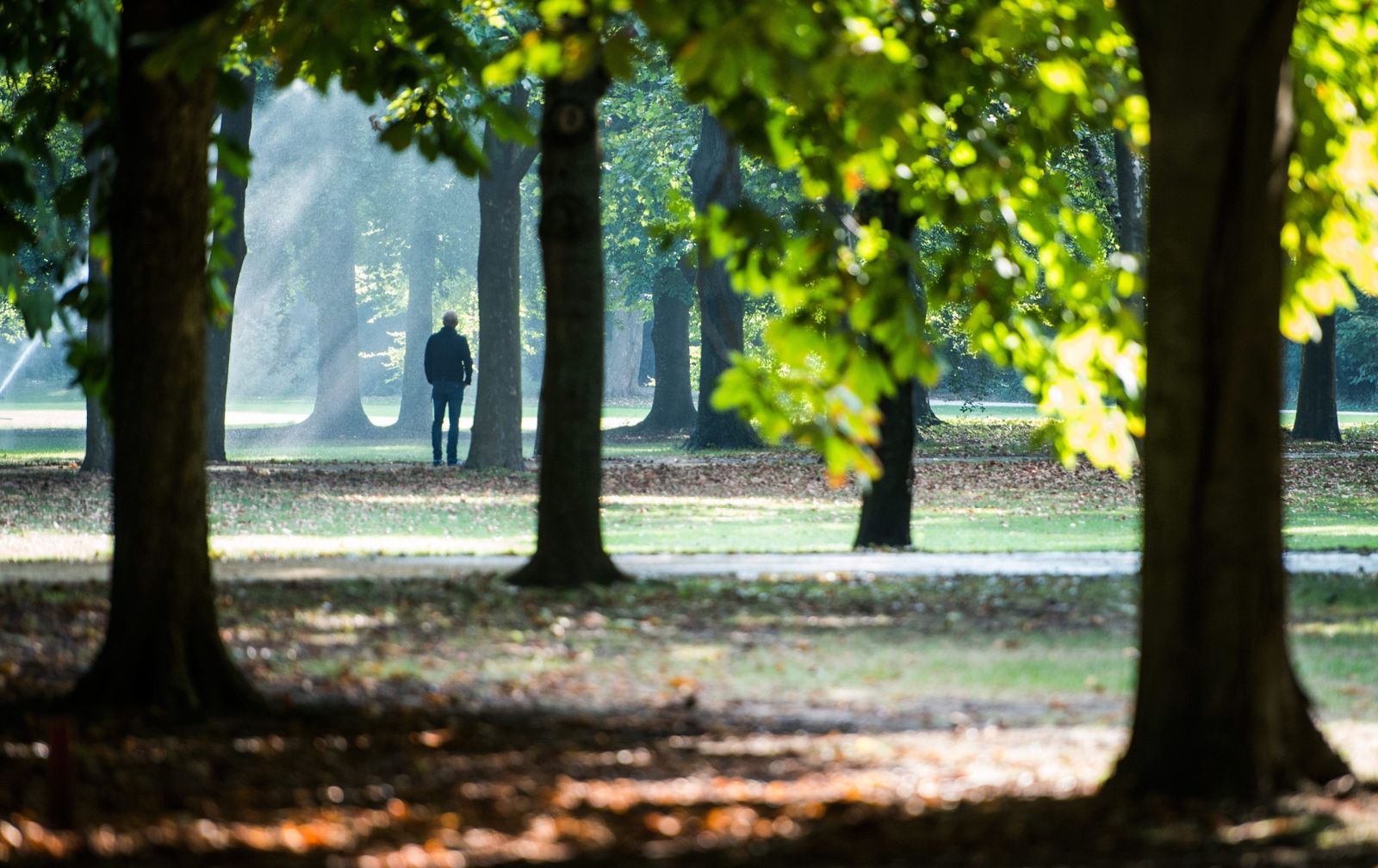 Centrum Polski będzie cieszyło się słońcem
