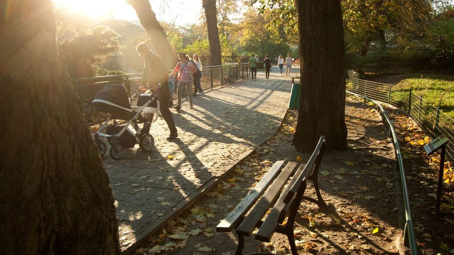 Środa będzie słonecznym i pogodnym dniem