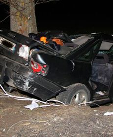 Czołówka z drzewem