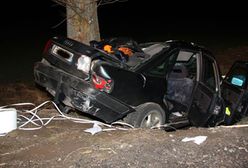 Czołówka z drzewem