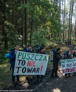 Wycinka Puszczy Białowieskiej. Rok więzienia za napaść na operatora Polsat News