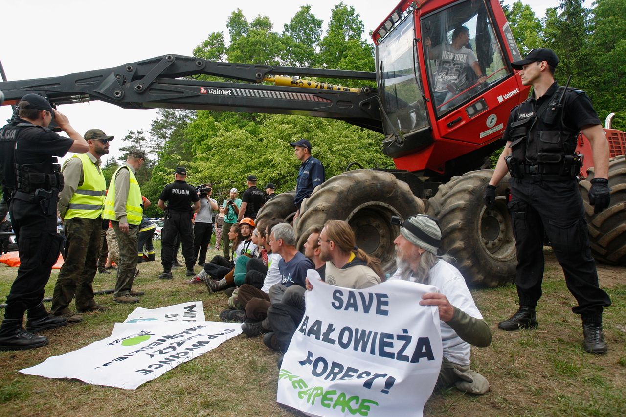 Harvestery wyjadą z puszczy. Oto zaskakujący powód wycofania niesławnych maszyn