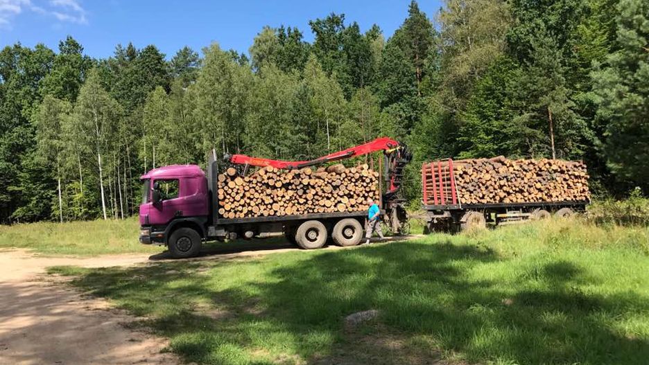 KE uważa, że Polska naruszyła postanowienie Trybunału Sprawiedliwości UE