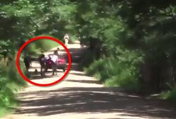 Zagraniczne media o pobiciu dziennikarza Polsatu