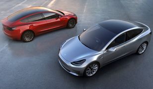 Tesla notuje rekordową stratę kwartalną. Problemy amerykańskiej firmy coraz większe