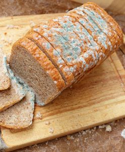 Nie wszystko, co ma pleśń, trzeba wyrzucić. Te produkty nadają się do spożycia