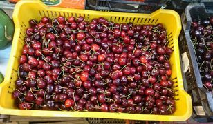 Czereśnia w górę, wiśnia w dół. Czyli wahania na giełdach owoców w Polsce