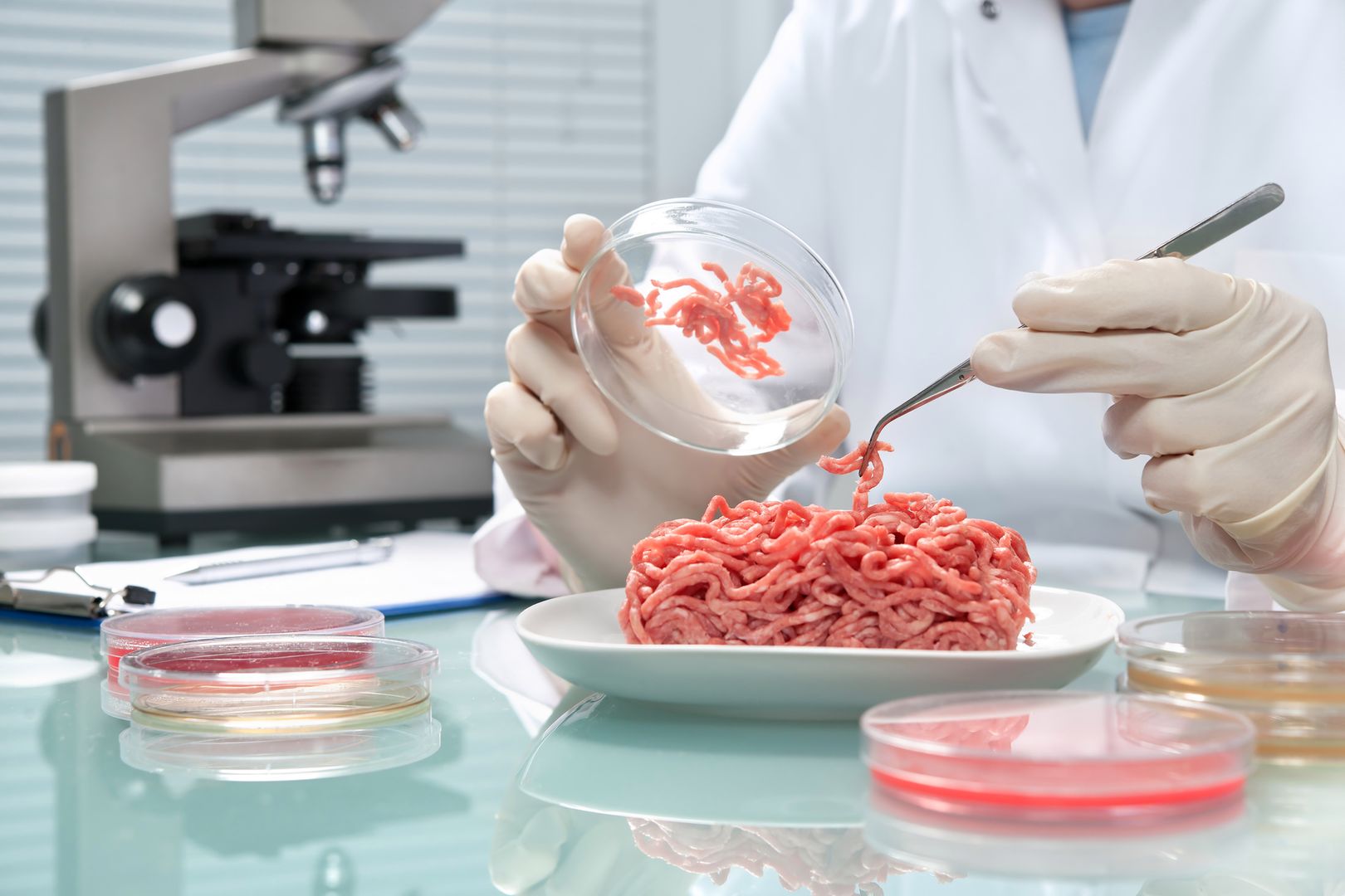 Food quality control expert inspecting at meat specimen in the laboratory