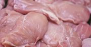 Salmonella w mięsie drobiowym z Polski. Czesi wykryli groźną bakterię