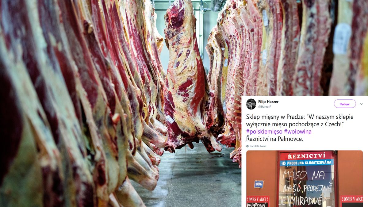 Mięso z nielegalnego uboju mogło trafić do czeskich sklepów.