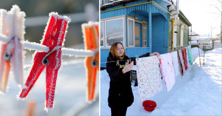 Snow and Frost Make Perfect Conditions to Take Your Fluffy Toys and Carpets Outside. Make Your House a Healthier Place to Live!