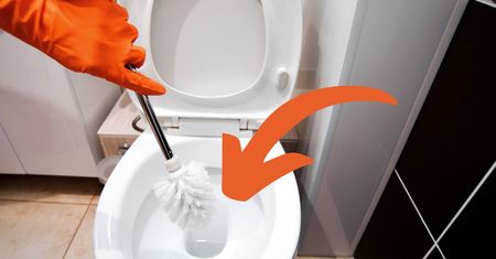Wsyp 2 czubate łyżki do toalety i zanurz w niej szczotkę. Rano będzie jak nowa
