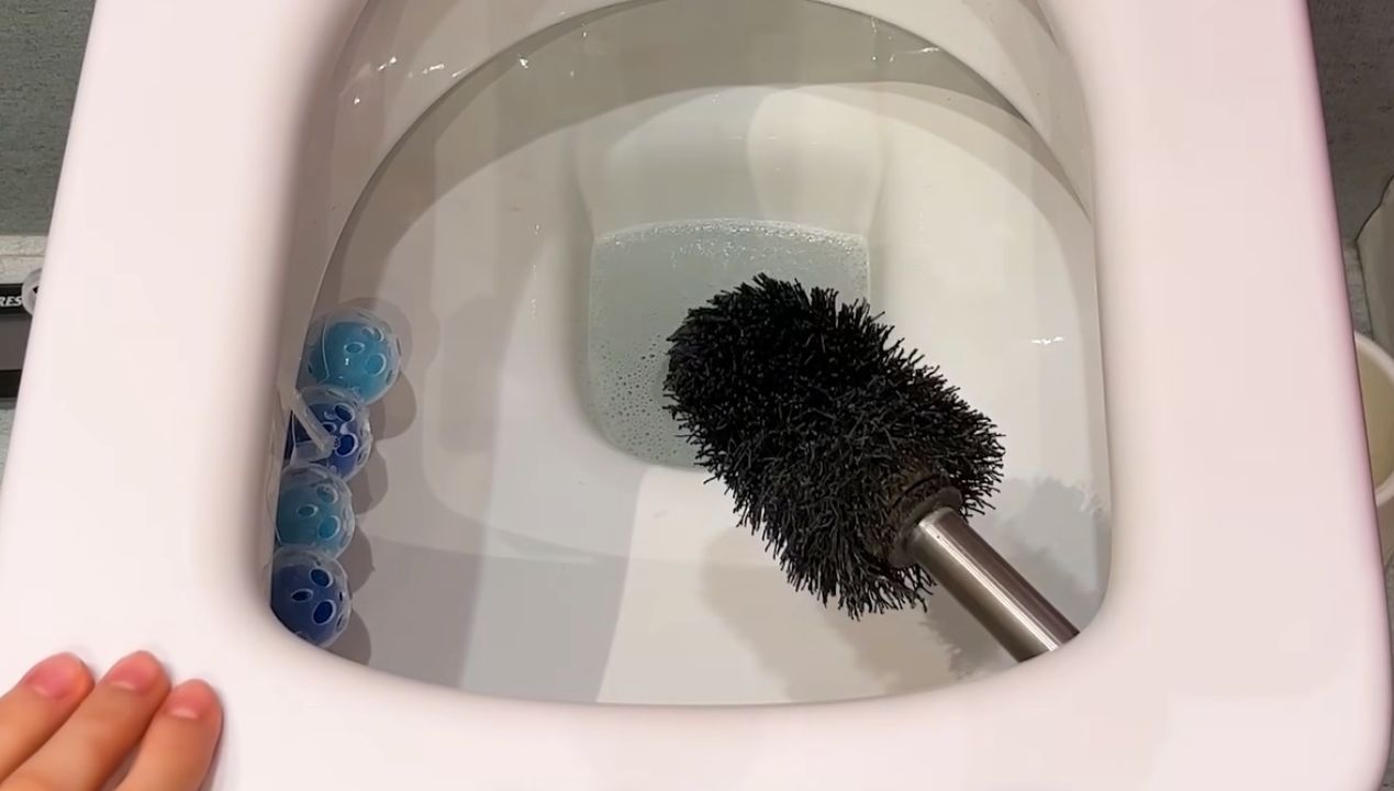 Jak wyczyścić szczotkę do sprzątania toalety fot. genialne.pl
