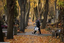 Warszawa. Prognoza pogody na Wszystkich Świętych. Będzie słonecznie i zimno