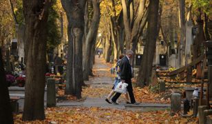 Warszawa. Prognoza pogody na Wszystkich Świętych. Będzie słonecznie i zimno