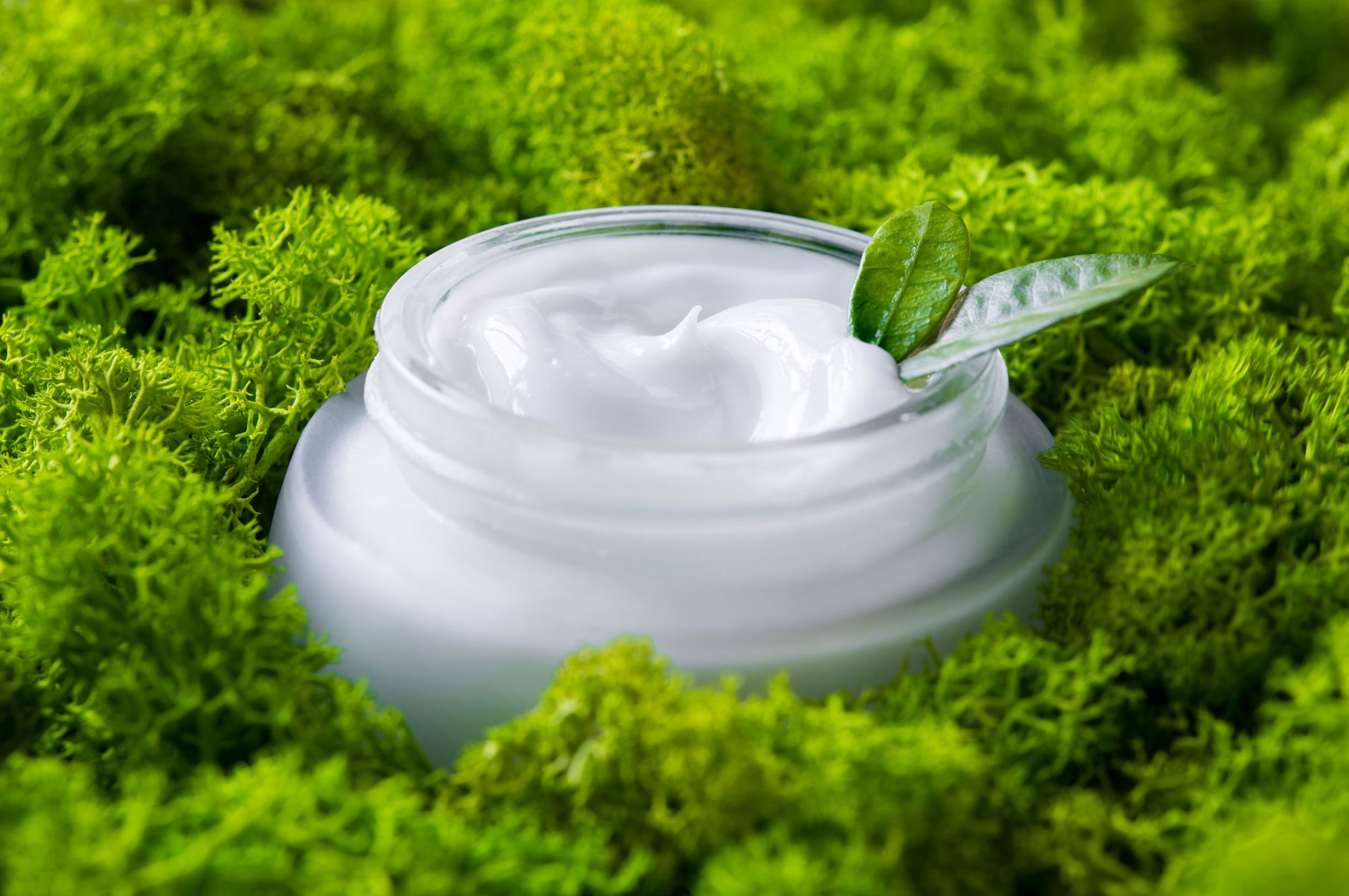 Close up of facial moisturizer in the middle of the green moss. Detail of glass jar of bio moisturizer with little leaves on moss. Organic lotion for skincare treatment. Natural beauty and skin care concept. 