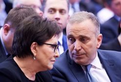Schetyna o sprawie Gawłowskiego: PiS wywiera presję na sędziach