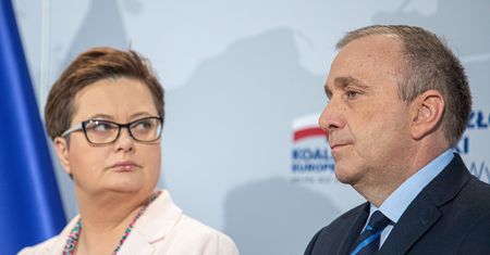 Politycy oceniają pomysł PO i Nowoczesnej. "Pogardy i nieudolności nie ukryją"