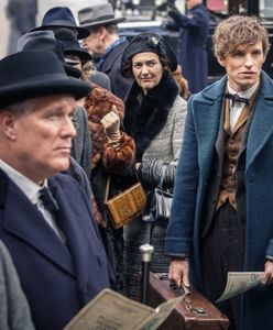 Program TV na piątek - "Fantastyczne zwierzęta i jak je znaleźć", "X-Men: Apocalypse", "Adwokat diabła" [02-08-2019]