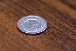 Do muzeum za 1 zł z Kartą Warszawiaka