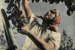 Kiedyś niewolnice swoich mężów, teraz "brak odpowiedniego mózgu". Polki nigdy nie miały łatwo