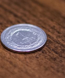 Do muzeum za 1 zł z Kartą Warszawiaka