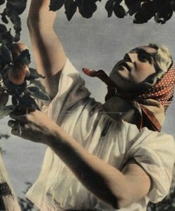 Kiedyś niewolnice swoich mężów, teraz "brak odpowiedniego mózgu". Polki nigdy nie miały łatwo