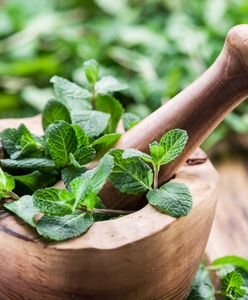 Mięta – aromatyczny dodatek do dań