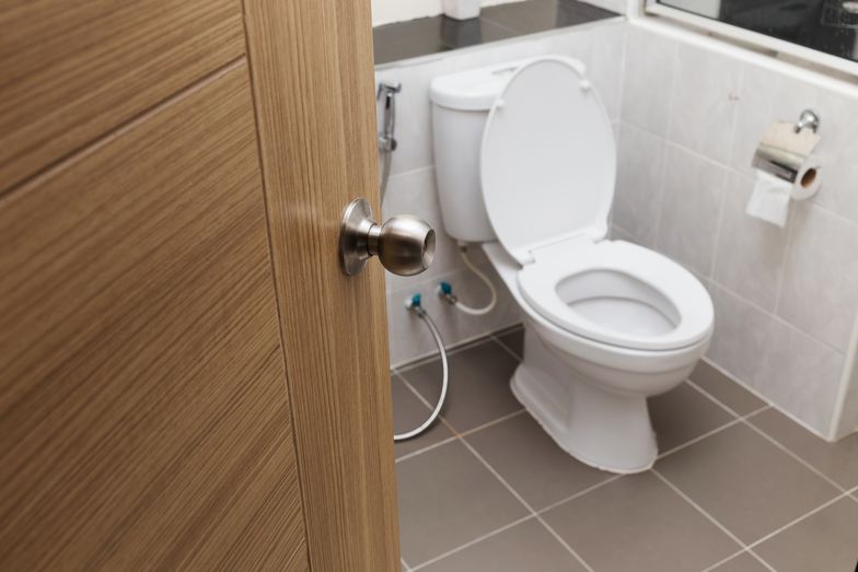 white flush toilet in modern bathroom interior, focus knob door.
