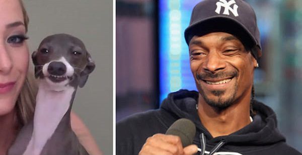 Snoop Dog