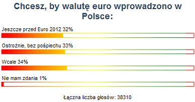 Internauci podzieleni ws. wprowadzania euro w Polsce