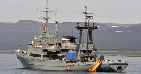 Rosja. Zwierzęta zatopiły łódź desantową Floty Północnej