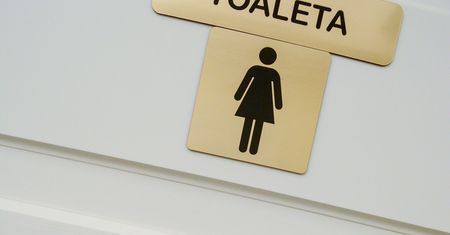 Cuchnący problem na nowym dworcu. Działa tylko jedna toaleta