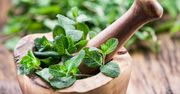 Mięta – aromatyczny dodatek do dań