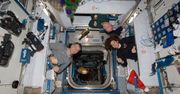 Wystawa kosmiczna pod patronatem NASA. Można ją zobaczyć w Polsce