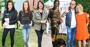 Gwiazdy zachęcają do adopcji zwierząt: Maja Hyży, Iwona Węgrowska, Jula, Monika Zamachowska