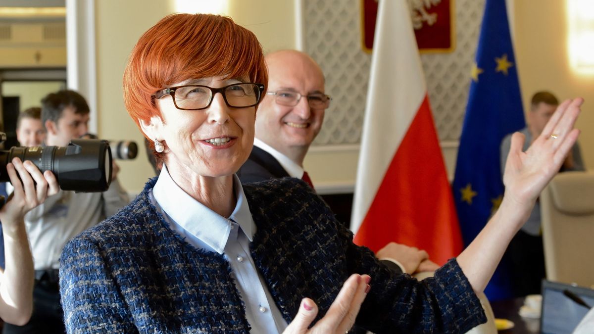 Warszawa, 26.02.2019. Minister rodziny, pracy i polityki społecznej Elżbieta Rafalska przed posiedzeniem rządu.