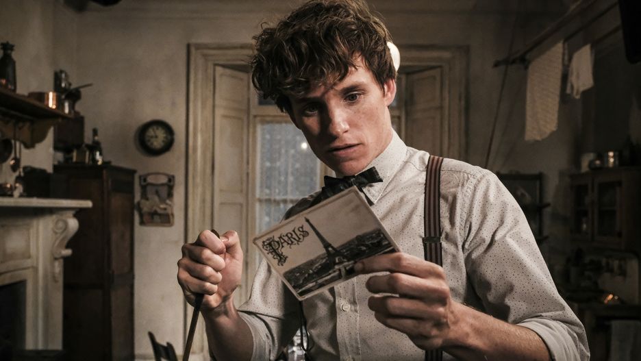 "Fantastyczne zwierzęta: Zbrodnie Grindelwalda" na płytach od 13 marca