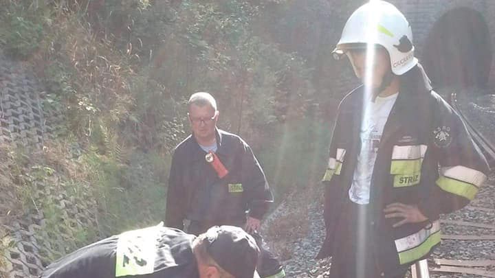 Na Dolnym Śląsku znaleziono cielęta w tunelu kolejowym