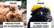 13 popularnych mitów o zwierzętach, które nie są prawdą. Czas przestać w nie wierzyć