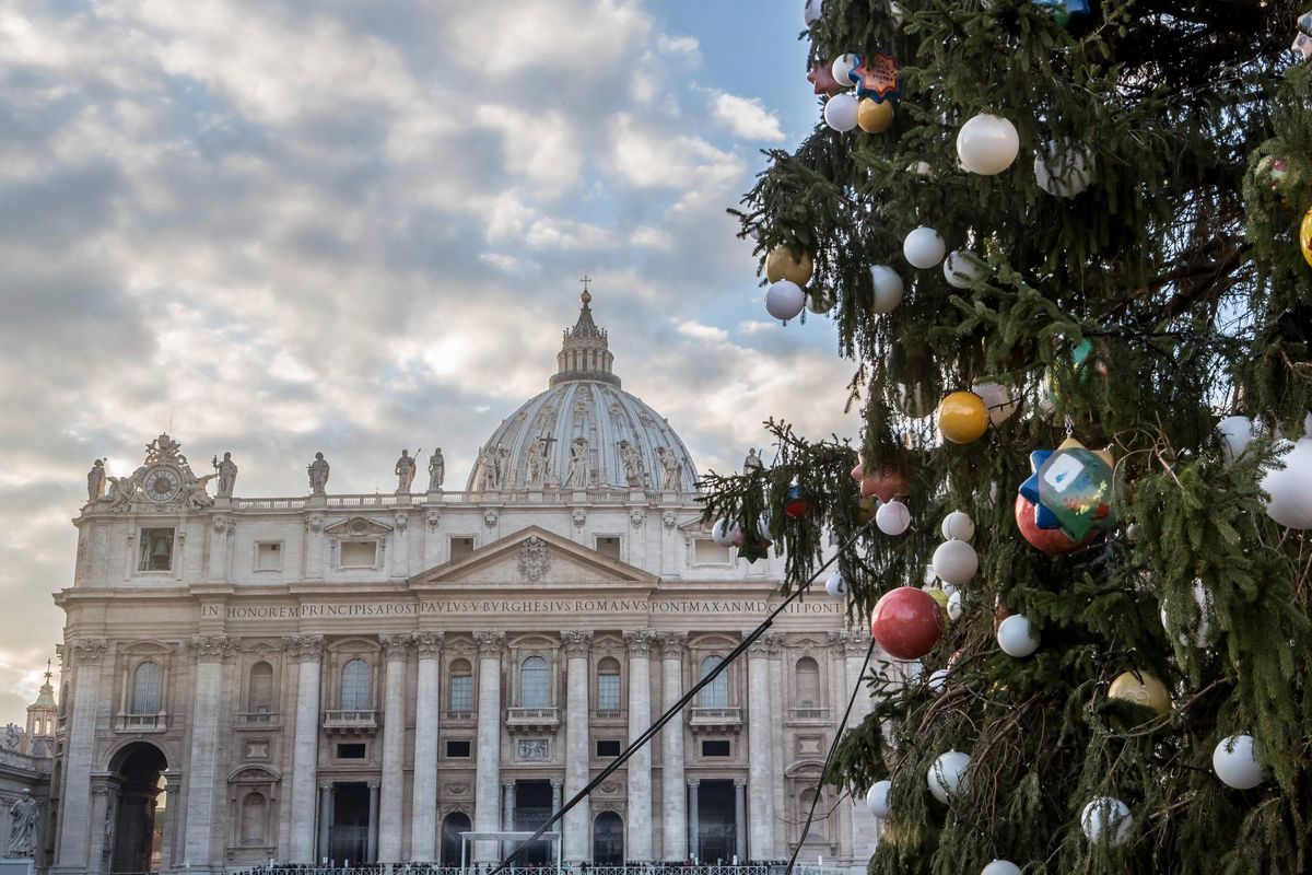 Watykan przygotowuje się do Świąt Bożego Narodzenia. Szopka i choinka będą wyjątkowe
