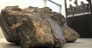 Wyjątkowy meteoryt sprzedał się za ogromną kwotę. Kupił go od handlarza za grosze