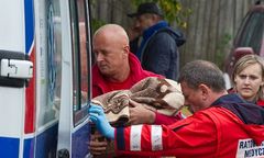 Leśniczy znalazł zaginionego 3,5-latka