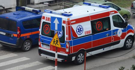 Kałuża krwi po ataku psa na kobietę w Miliczu. Właściciel był pijany